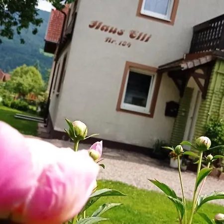 Haus Elli * גריפנבורג