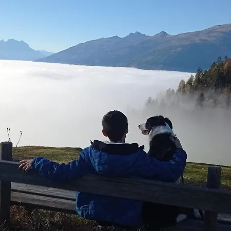 Appartement Haus Elli