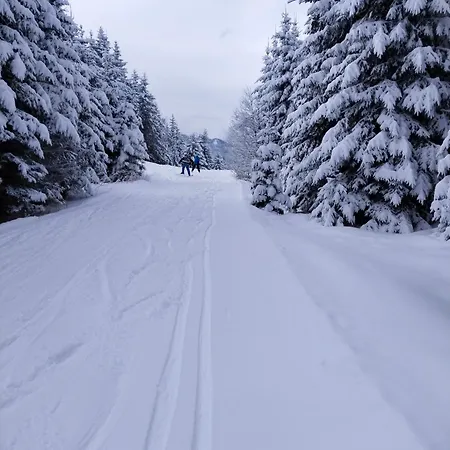 Haus Elli Greifenburg