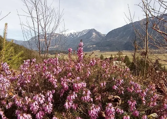Haus Elli גריפנבורג
