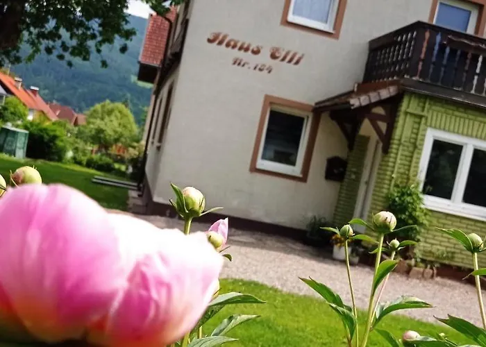 Haus Elli * גריפנבורג