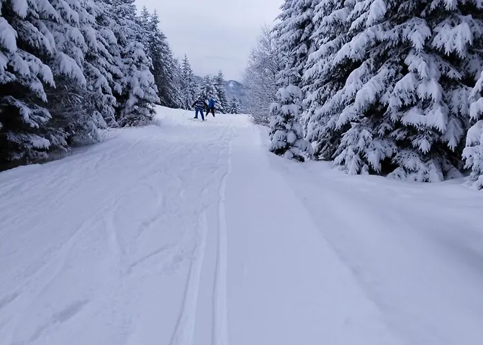 Haus Elli גריפנבורג