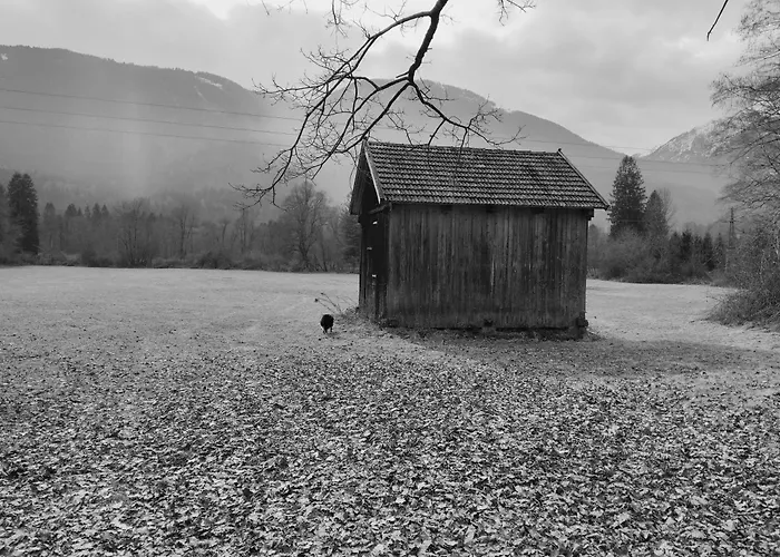 Haus Elli * גריפנבורג