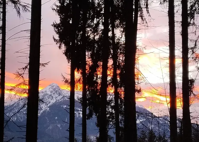 Haus Elli גריפנבורג